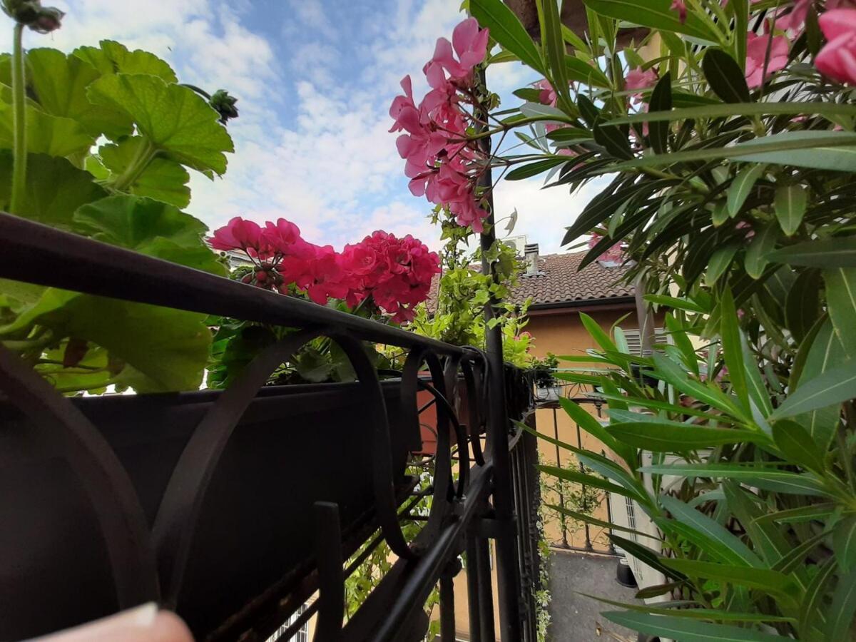 Donna Nilla, A Large And Cozy Flat In Porta Venezia * Mailand