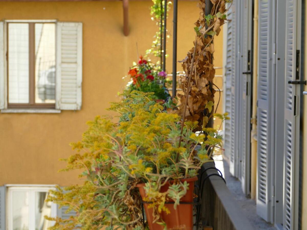 Donna Nilla, A Large And Cozy Flat In Porta Venezia *