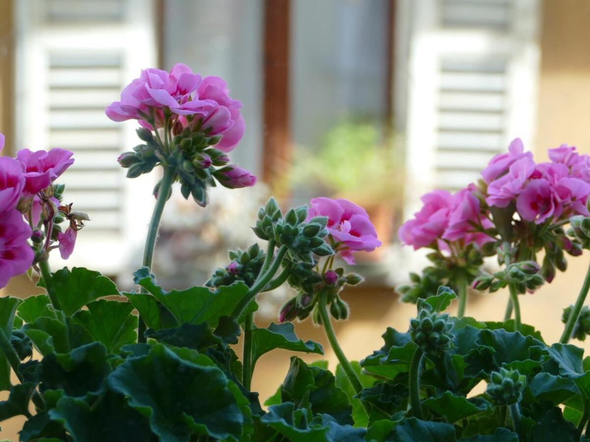 Donna Nilla, A Large And Cozy Flat In Porta Venezia Mailand